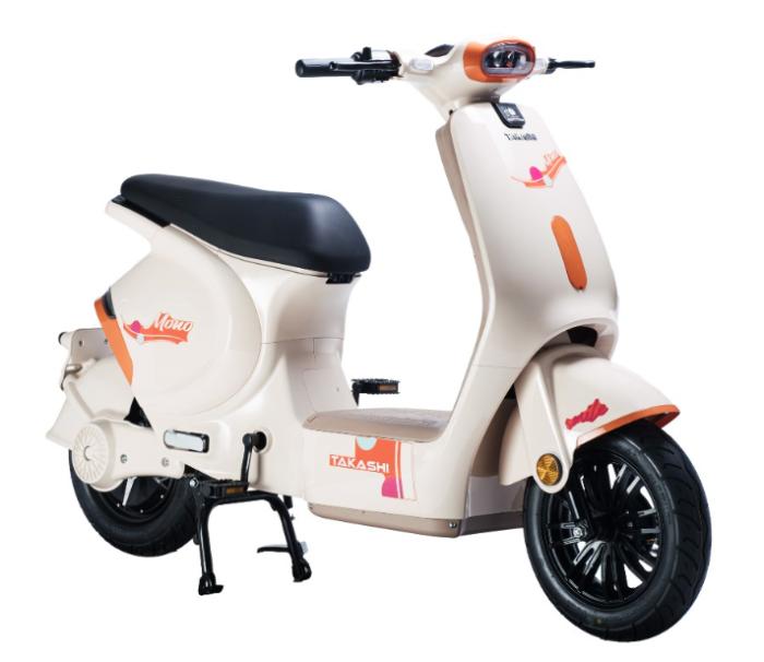 Những ai nên sử dụng xe điện Takashi Mono?